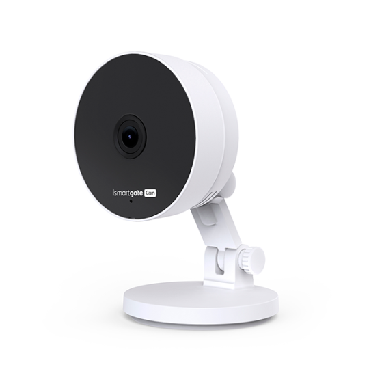 Wireless Indoor IP Camera for garage